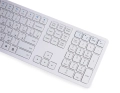 Klawiatura rosyjska bezprzewodowa cyrylica Bluetooth typerCLAW-BC140WR
