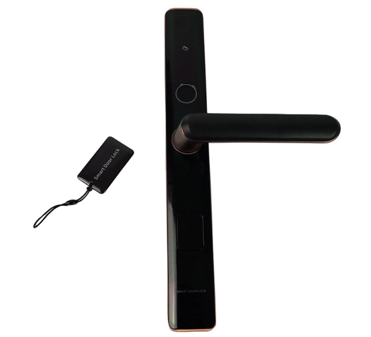 Elektroniczny zamek do drzwi z kontrolą dostępu na kartę RFID, hasło i odcisk palca, elegancka klamka na baterie SecureEntry-HL100